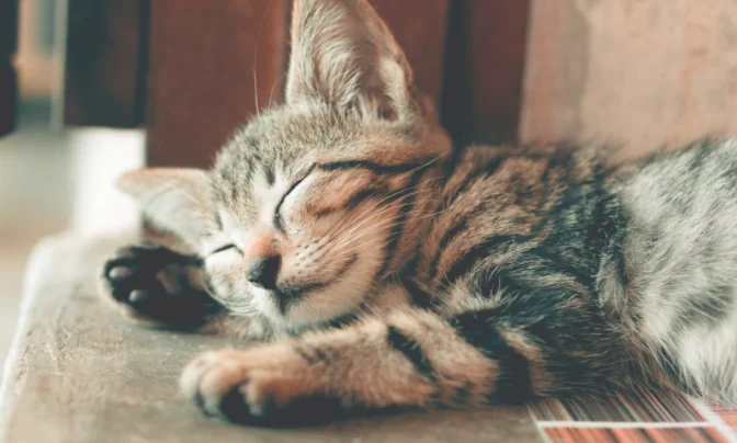 Dimmi come dorme e...